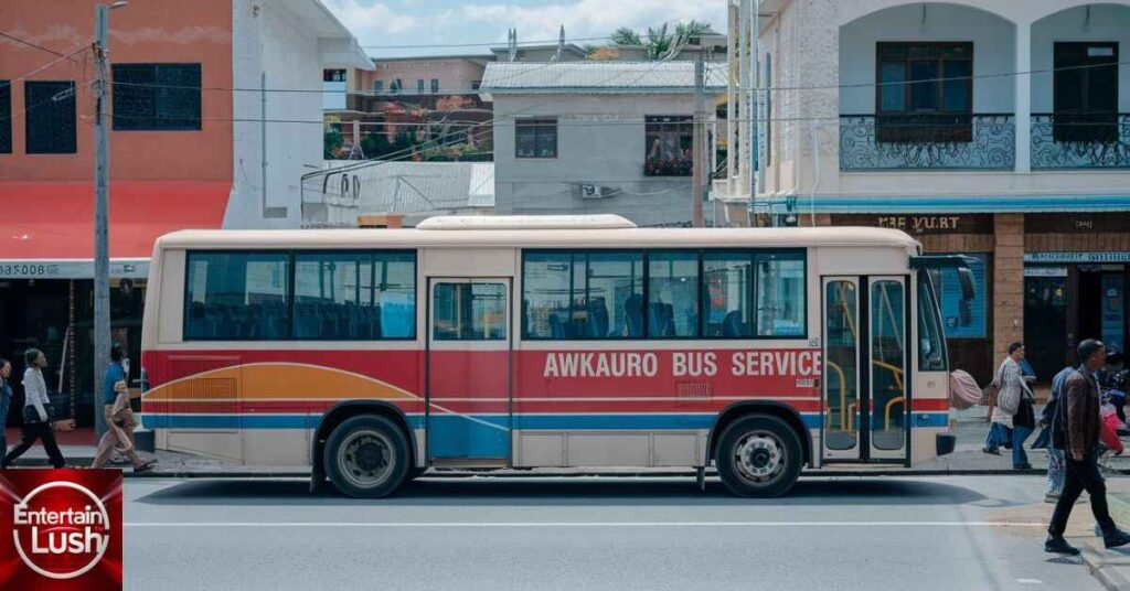 Transportation and Accessibility in Awkauro